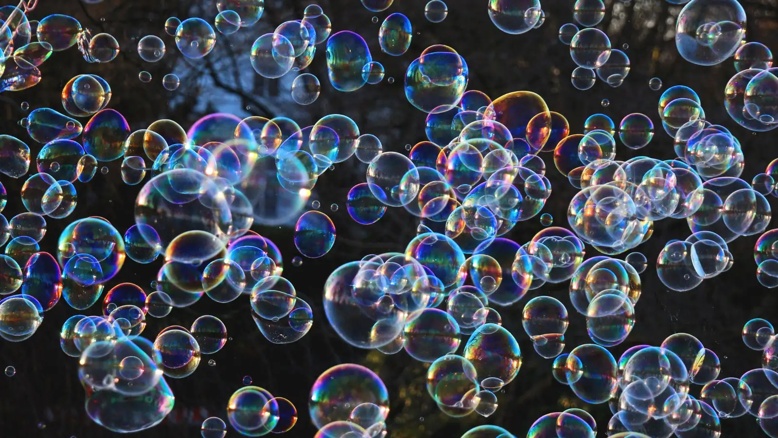 Colorful soap bubbles floating outdoors for a bubble themed party