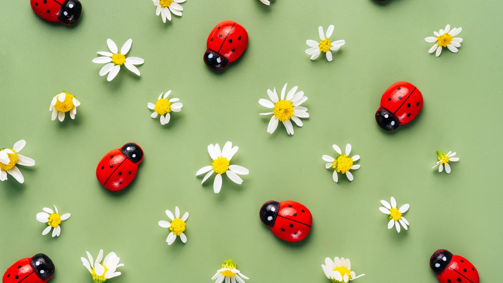 Ladybug baby shower decor featuring red ladybugs and white daisies arranged on a soft green background