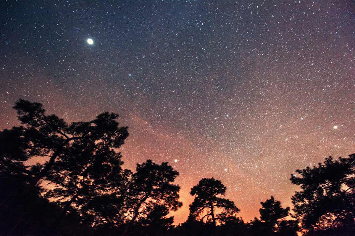 An orange, purple, and black night sky with bright stars and the moon above a line of dark trees