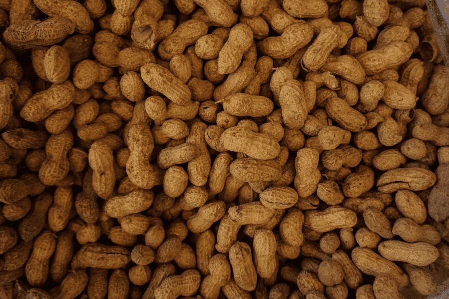 peanuts 