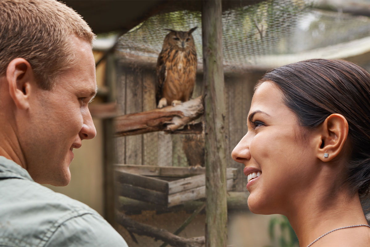 30 something Man taking his 30 something partner on a date at the zoo looking at owl