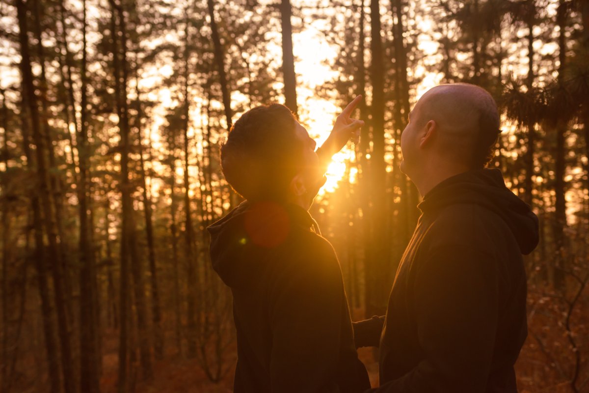 gay couple holding each other and looking up at the trees in the woods during the sunset