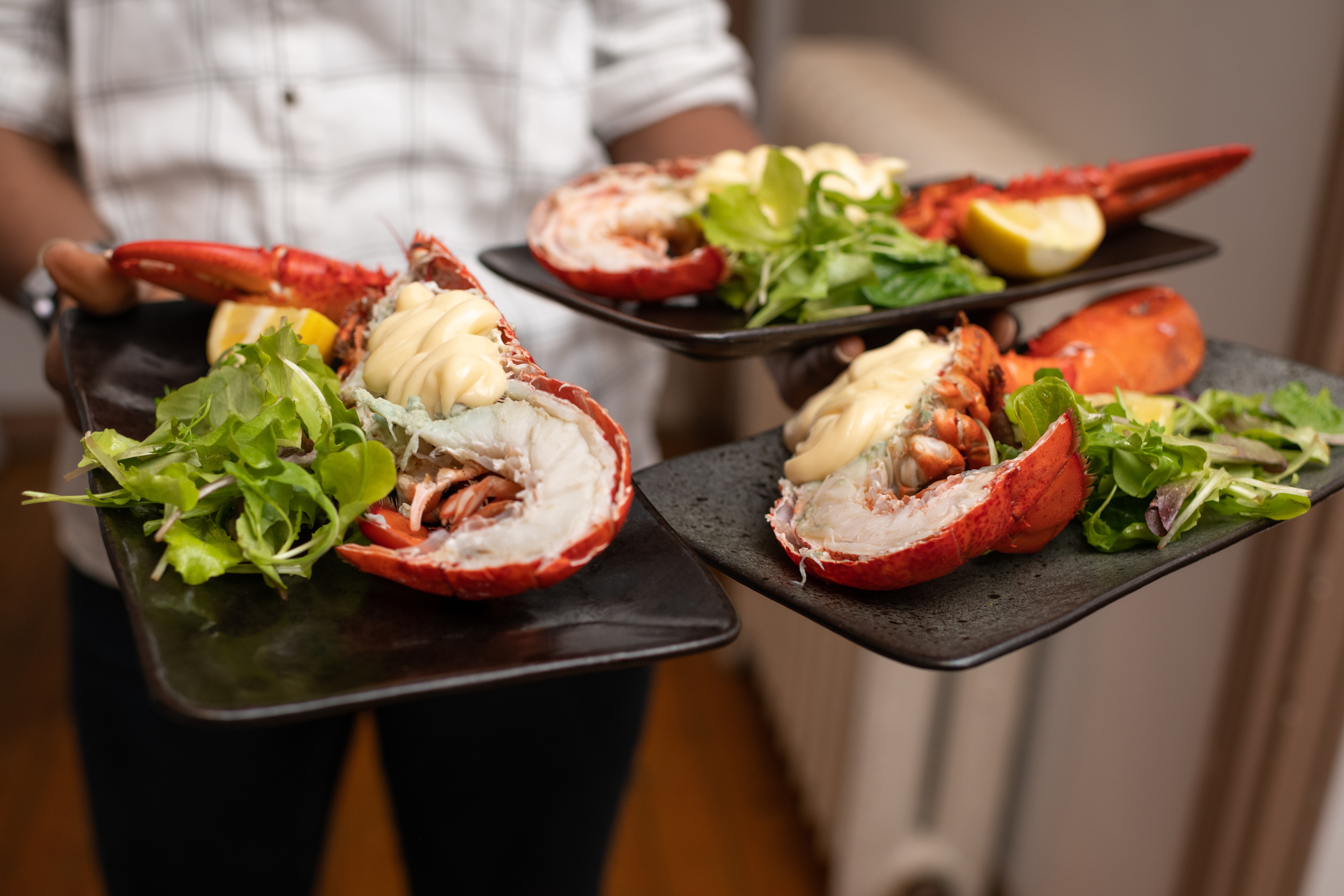  Chef in white coat holds out three entree plates of expensive lobster and greens