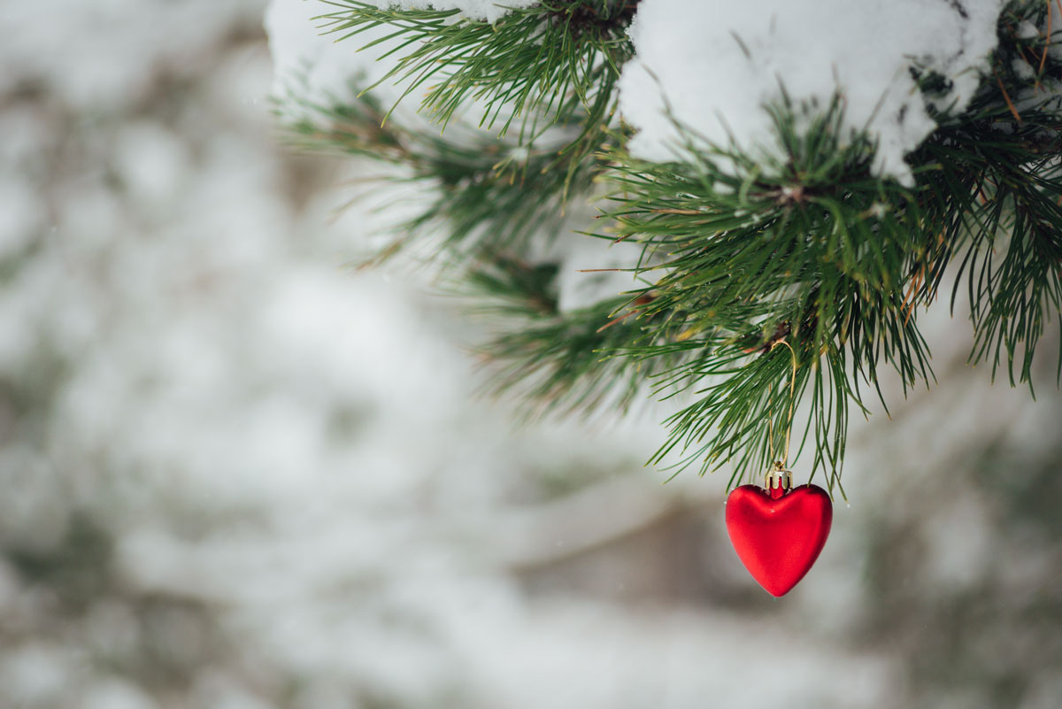 A focused picture of a red heart ornament hanging from an evergreen tree